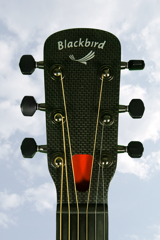 Blackbird Carbon Fiber The Vitale Guitar Collection