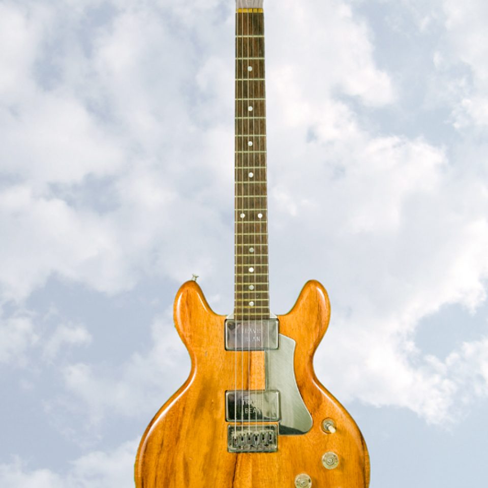 Travis Bean The Vitale Guitar Collection